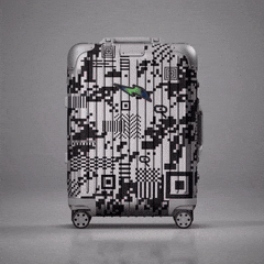 Luggage